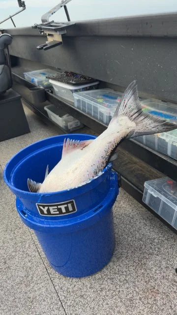 Fishing in Montesano, Washington