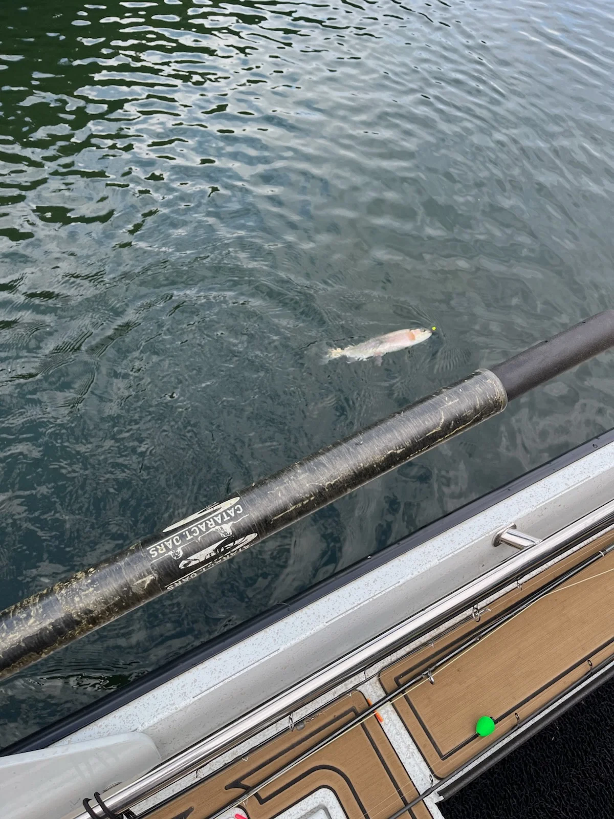 Fishing in Heber Springs, Arkansas