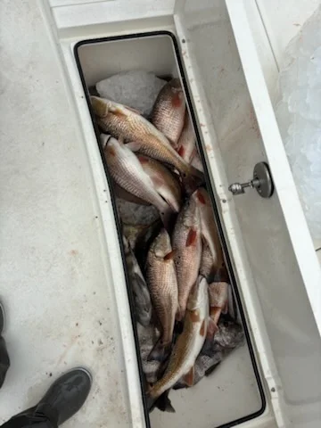 Fishing in Lake Charles, Louisiana