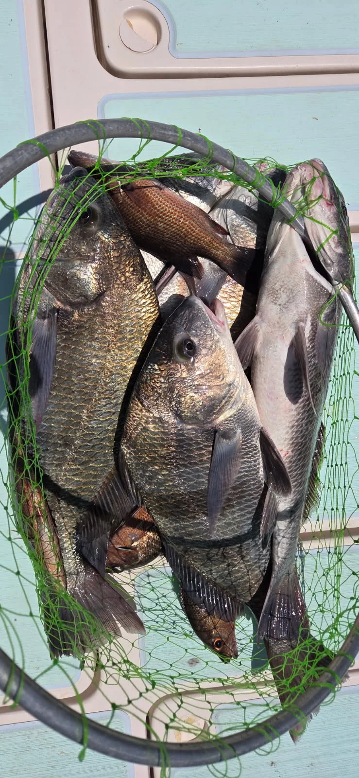 Fishing in Naples, Florida