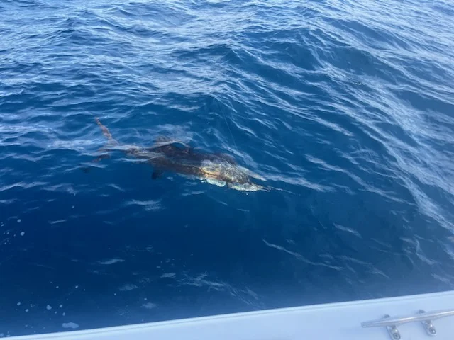 Fishing in Jupiter, Florida