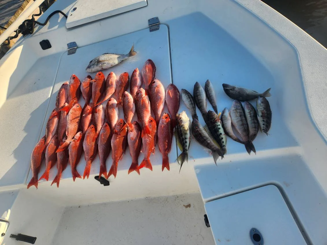 Fishing in Pensacola, Florida