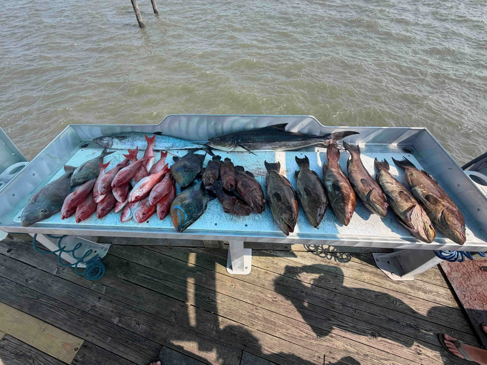 Fishing in Mount Pleasant, South Carolina