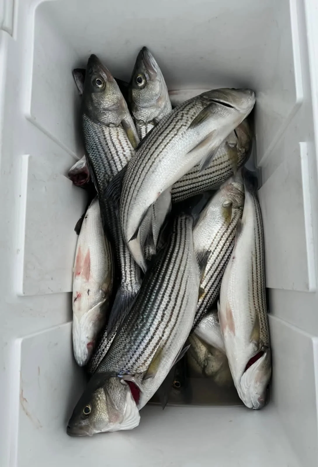 Fishing in Kingston, Oklahoma