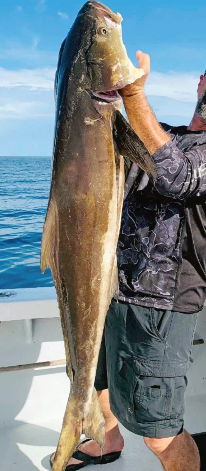 Kingfish Fishing in Clearwater, Florida