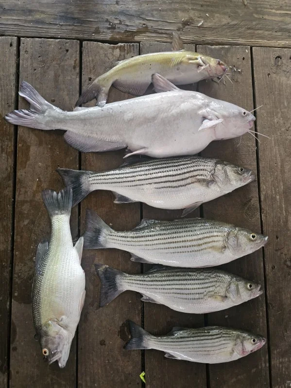 Fishing in Kingston, Oklahoma