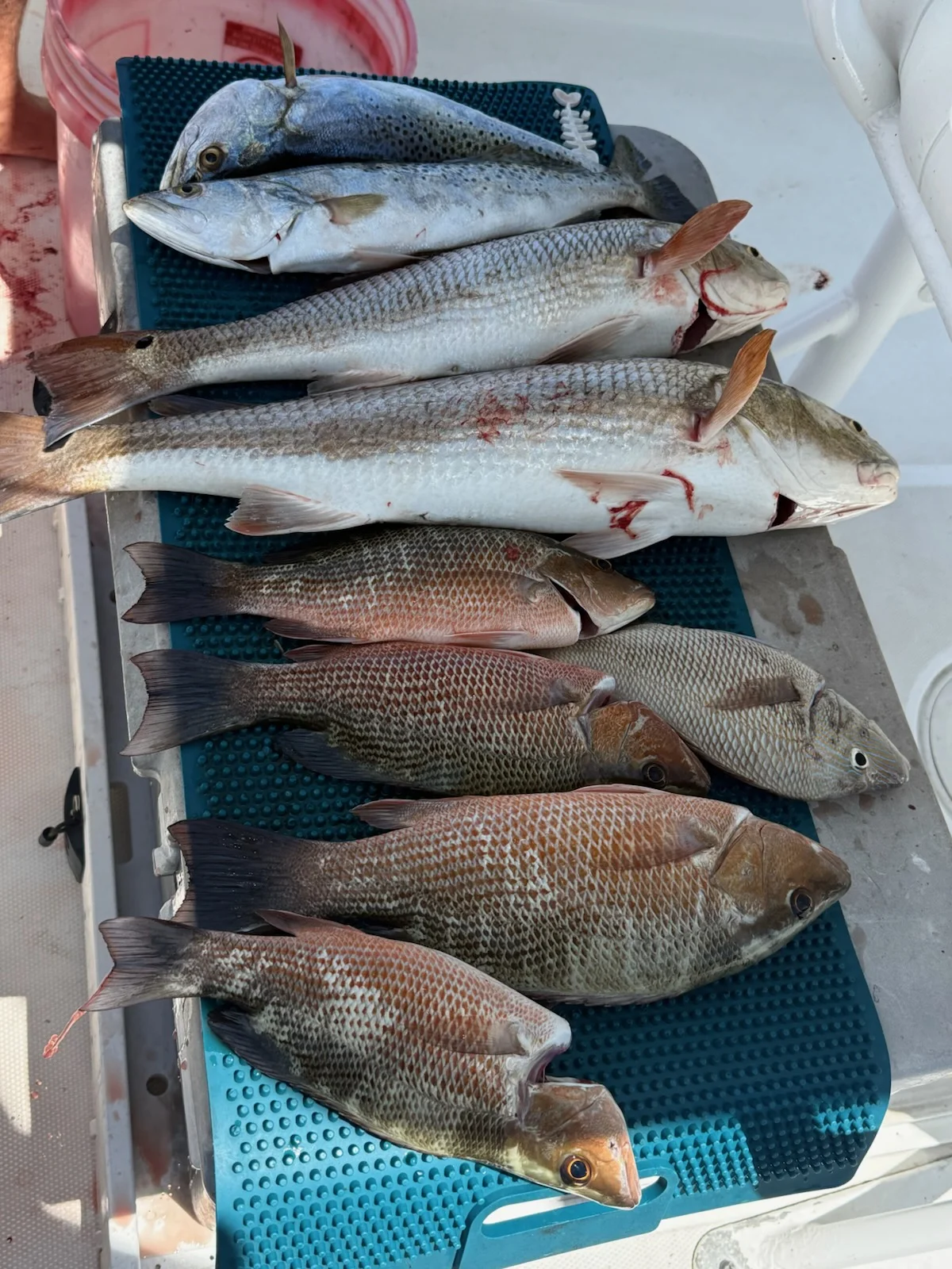 Fishing in St. Petersburg, Florida