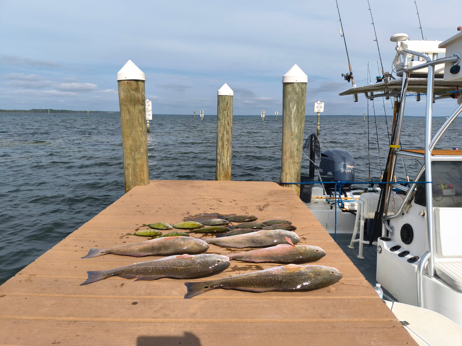 Fishing in Panama City, Florida