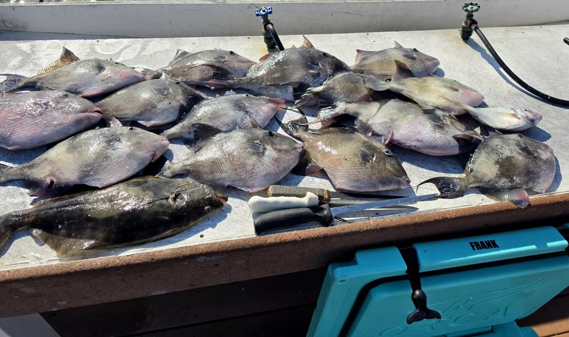 Fishing in Stone Harbor, New Jersey