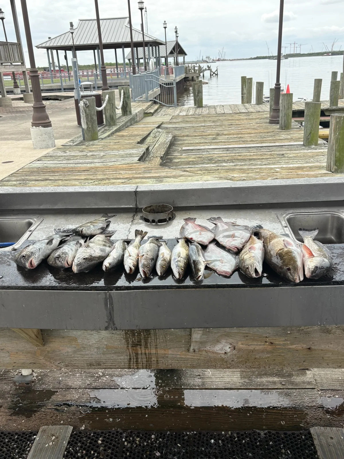 Fishing in Lake Charles, Louisiana