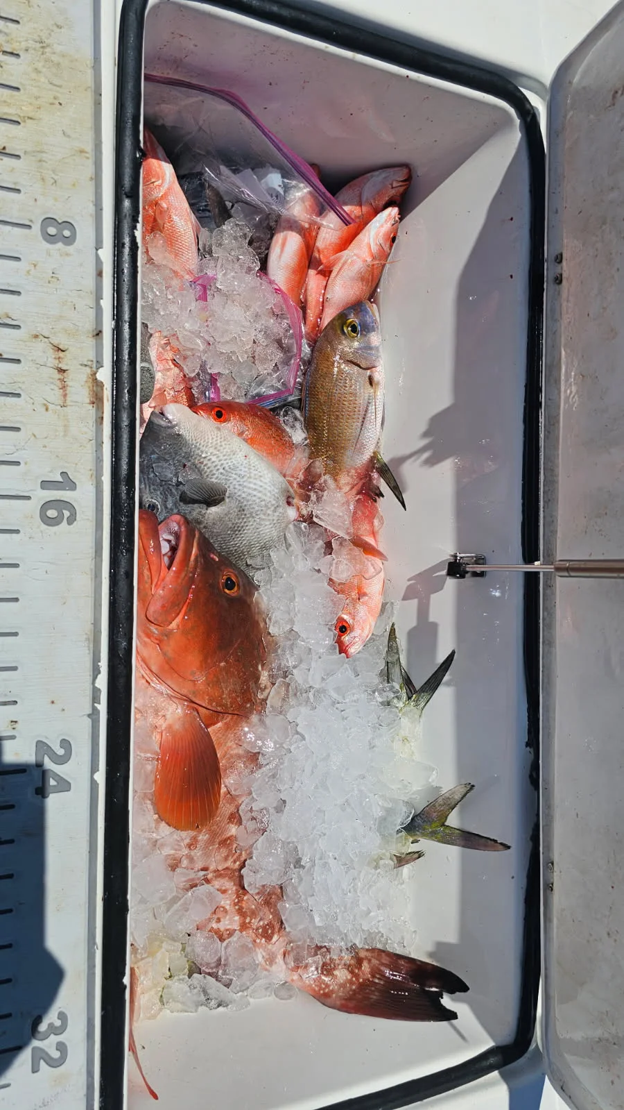 Fishing in Panama City, Florida
