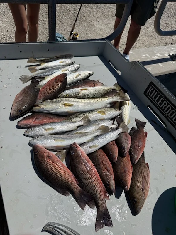 Fishing in Bradenton, Florida