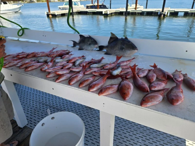 Fishing in Orange Beach, Alabama