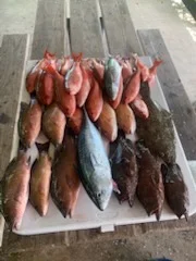 Fishing in Pensacola, Florida