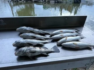 Fishing in Texas City, Texas