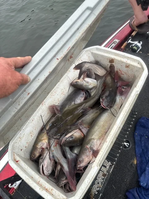Fishing in Scroggins, Texas