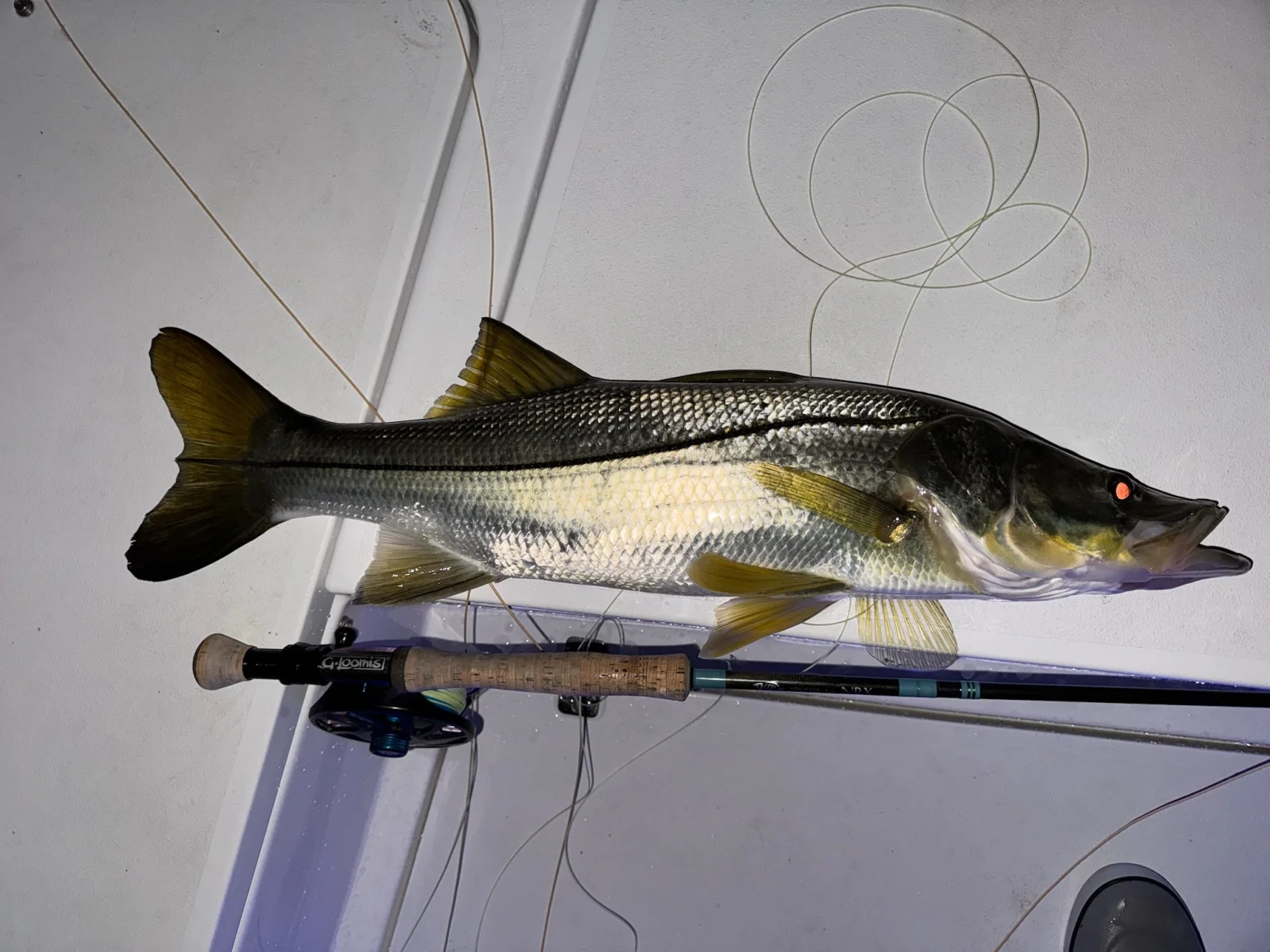 Fishing in Jensen Beach, Florida