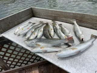 Fishing in Corpus Christi, Texas