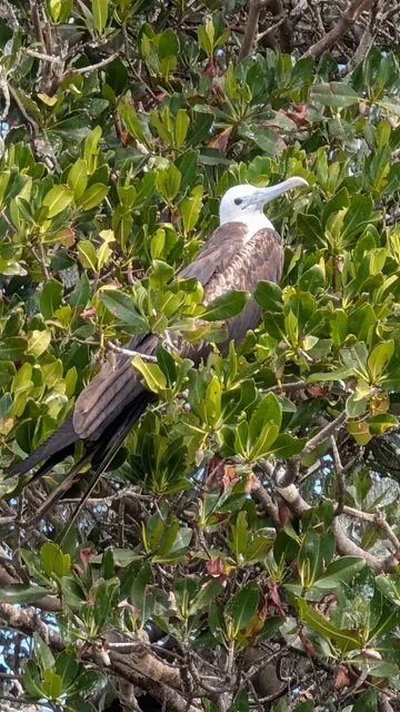 Fishing in Stuart, Florida