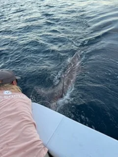 Gag Grouper Fishing in Panama City, Florida
