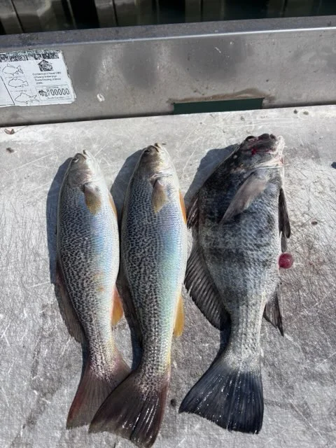 Fishing in Murrells Inlet, South Carolina