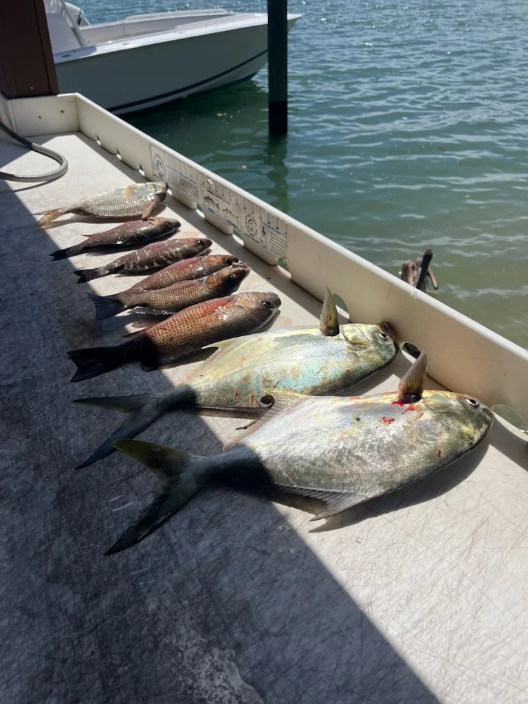 Fishing in Jupiter, Florida