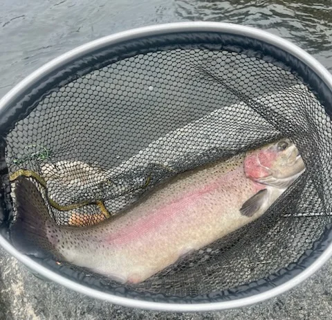 Fishing in Hume, California