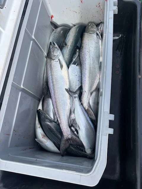 Fishing in Sheboygan, Wisconsin