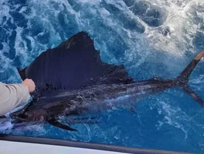 Fishing in Pompano Beach, Florida