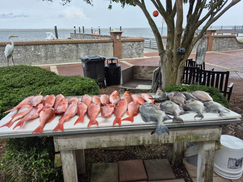 Fishing in St. Marys, Georgia