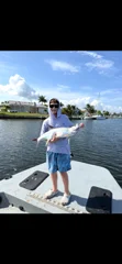 Fishing in Punta Gorda, Florida