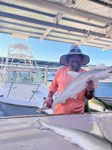 Blacktip Shark Fishing in Galveston, Texas