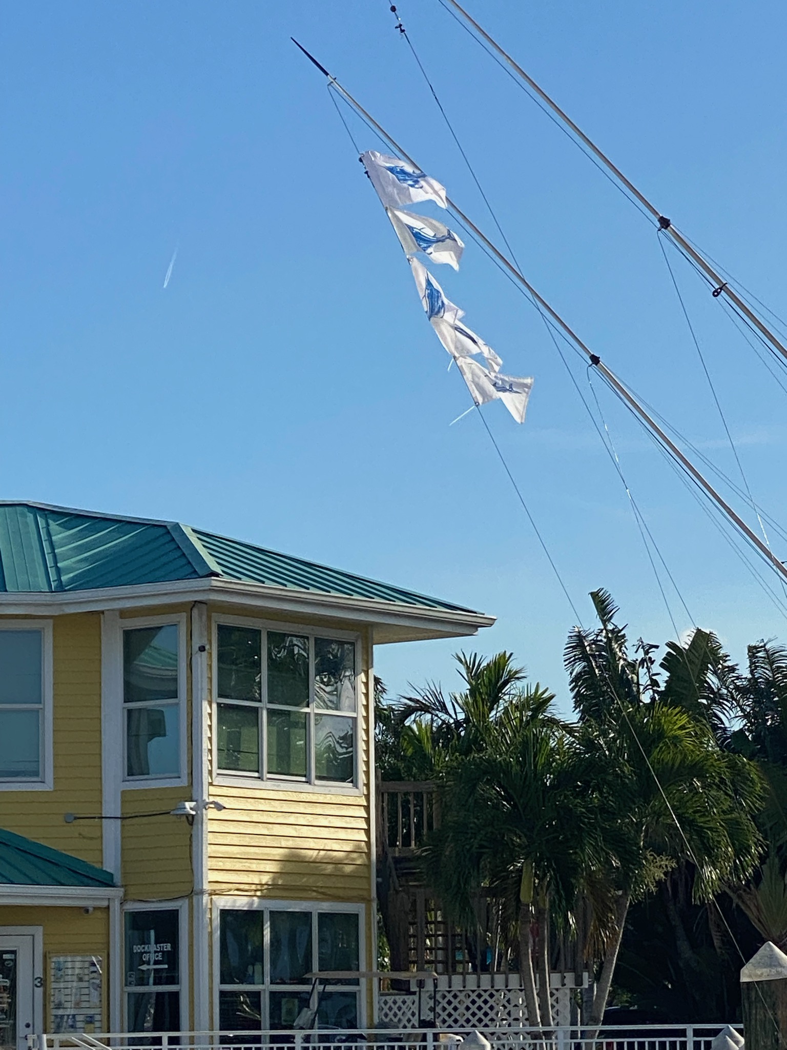 Sailfish Fishing in Fort Pierce, Florida