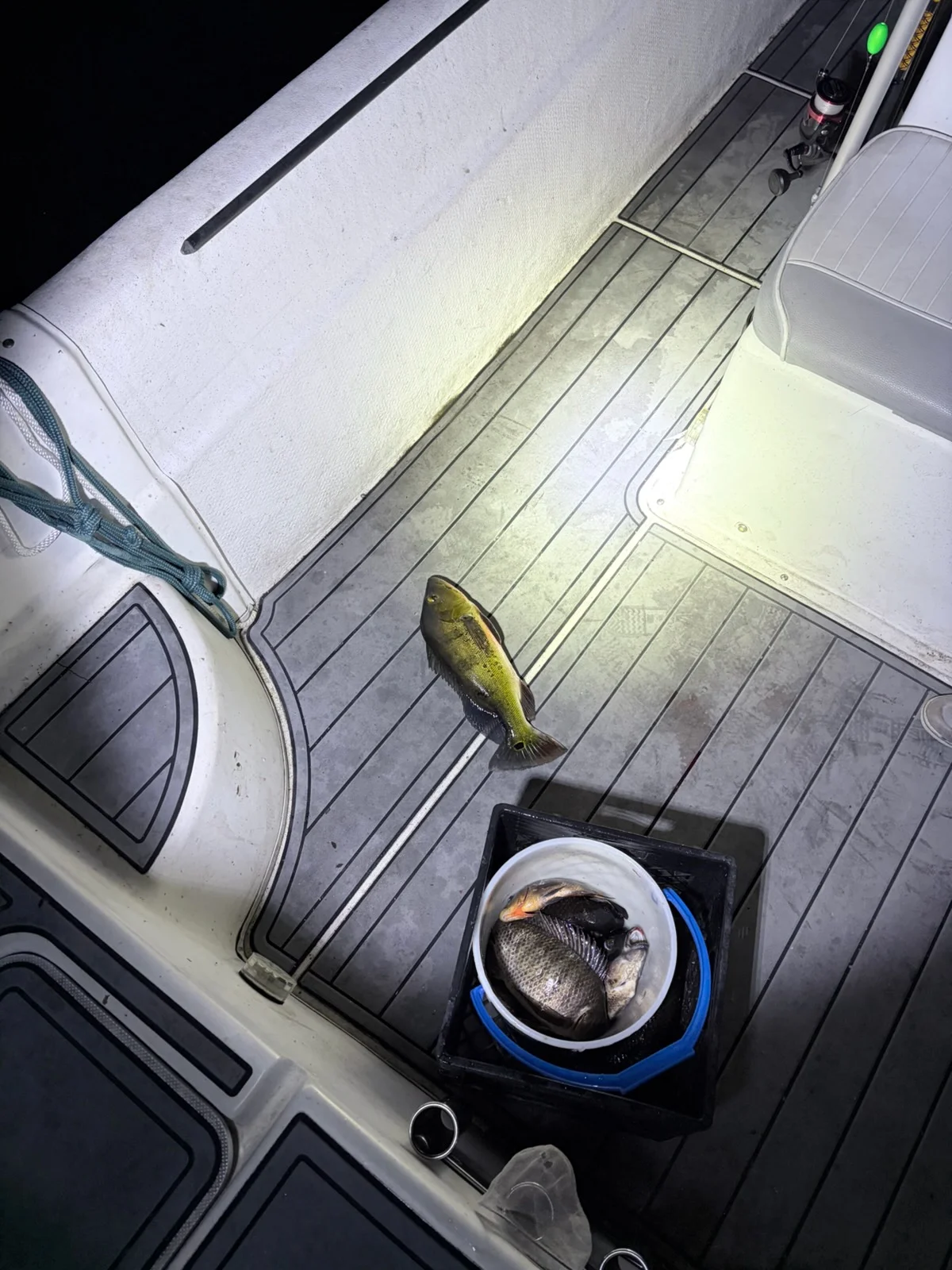 Fishing in Weston, Florida