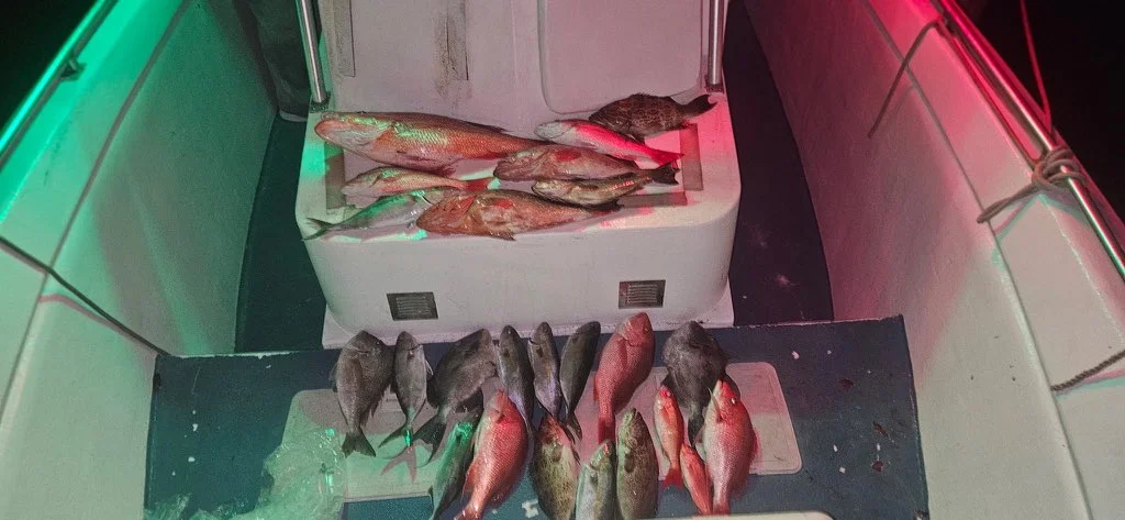 Fishing in Panama City, Florida
