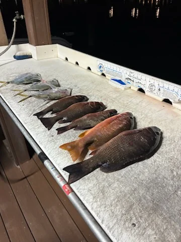 Fishing in Jupiter, Florida