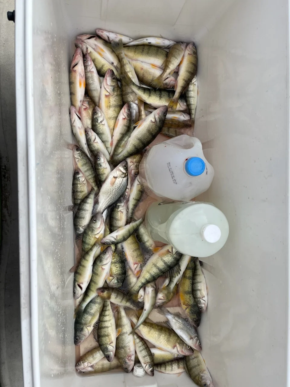 Fishing in Indianapolis, Indiana