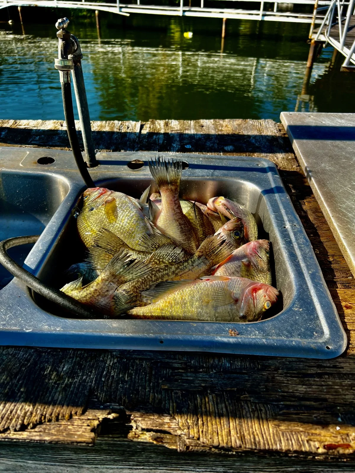 Fishing in Upalco, Utah