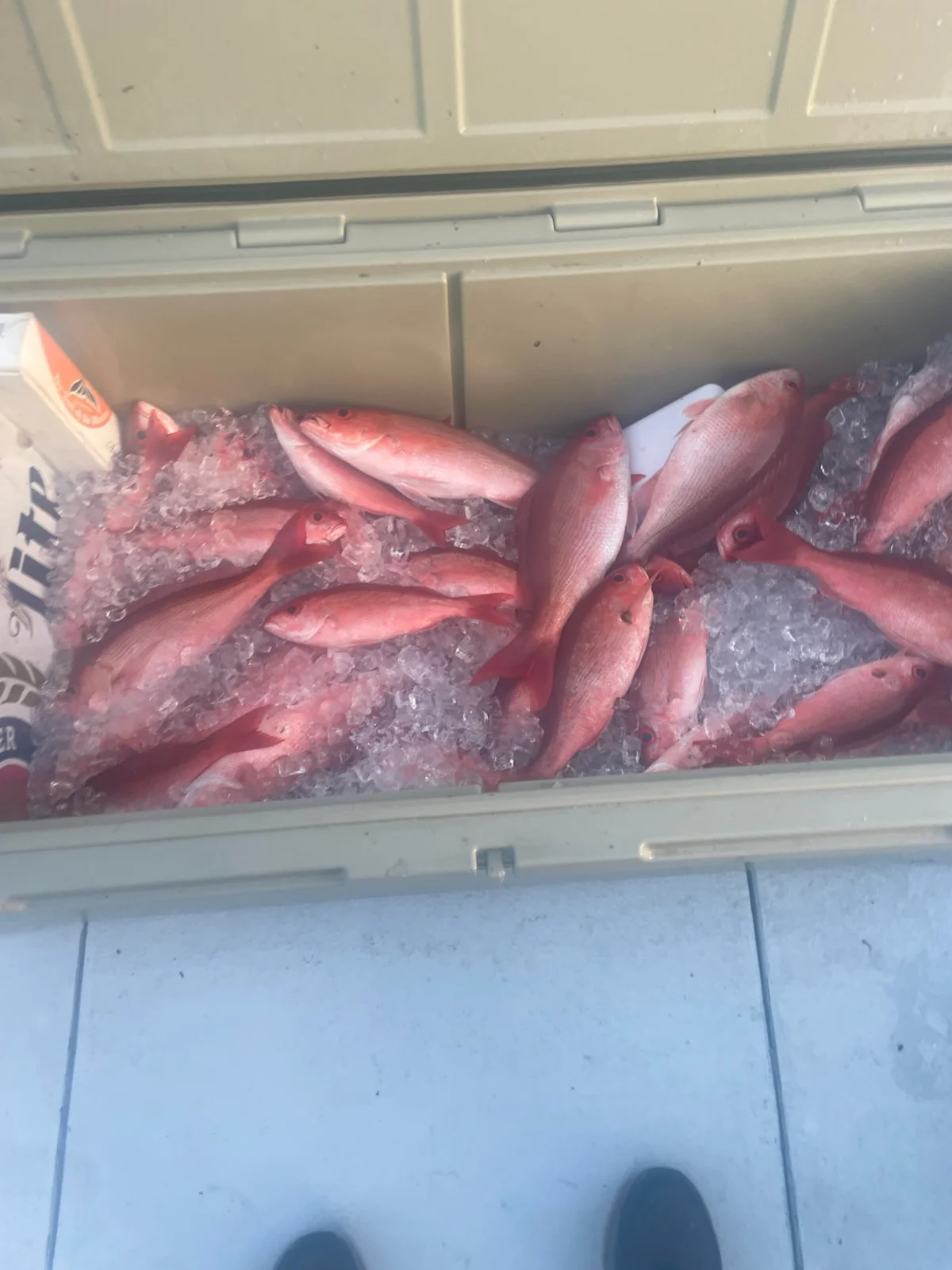 Fishing in Orange Beach, Alabama