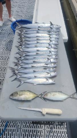 Fishing in Morehead City, North Carolina