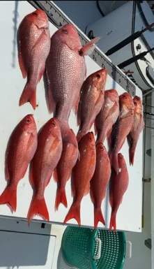 Fishing in Gulf Shores, Alabama