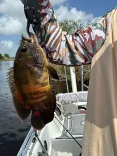 Fishing in Weston, Florida