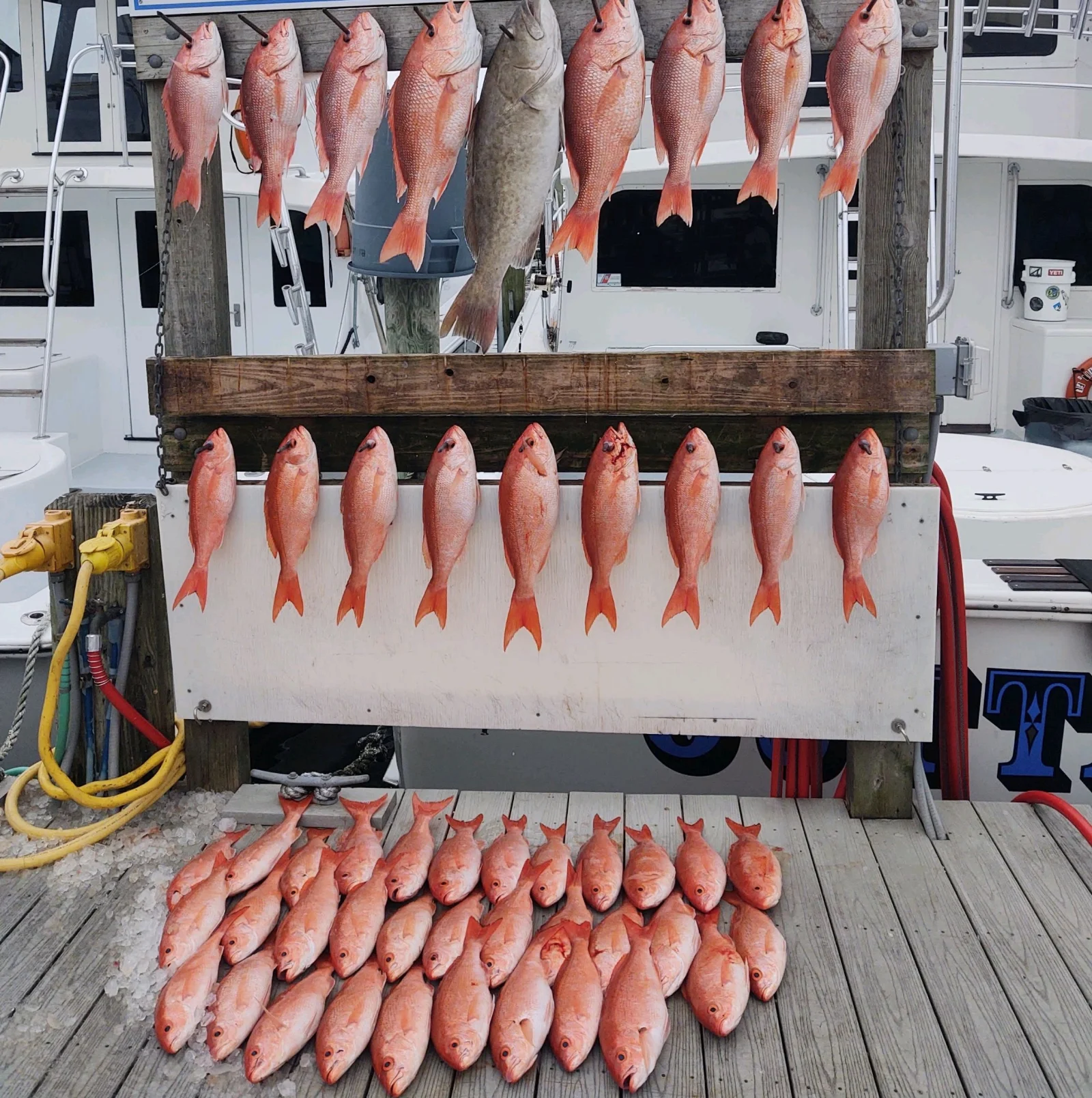 Fishing in Destin, Florida