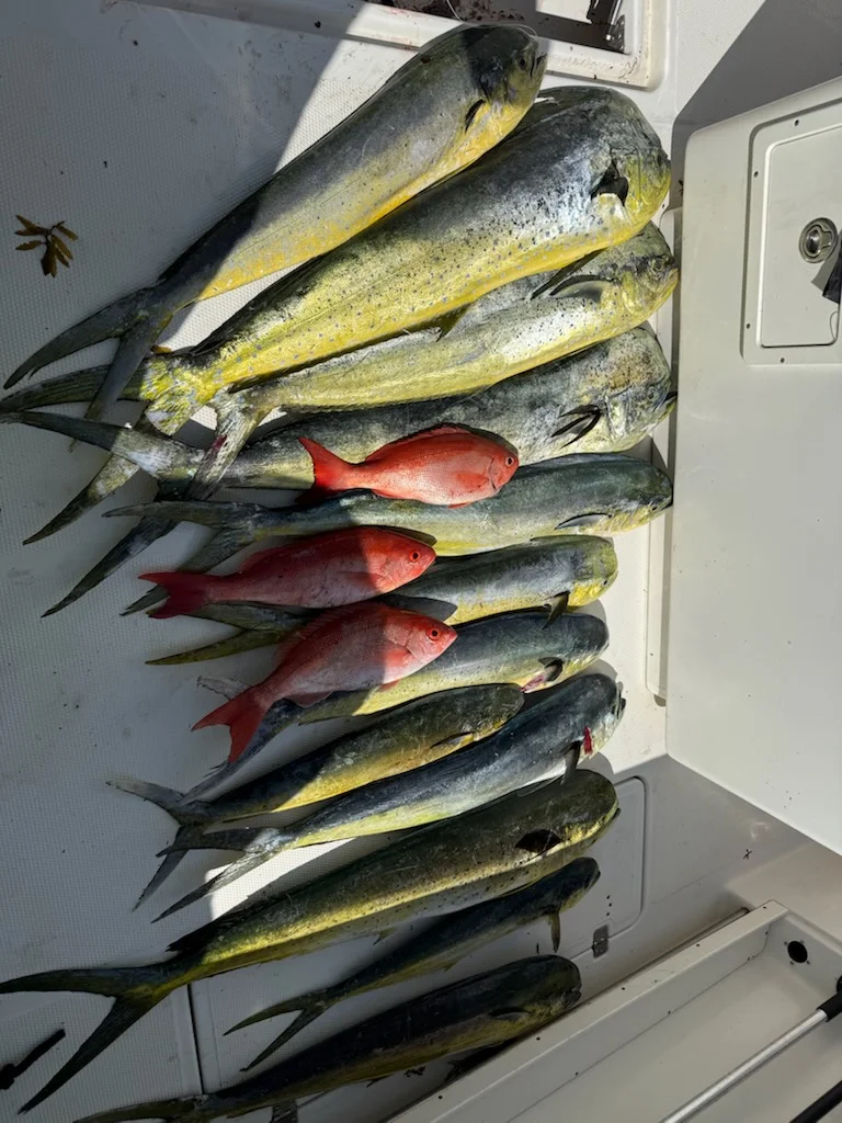 Fishing in Savannah, Georgia