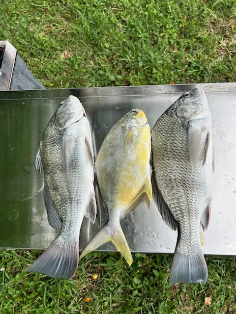Fishing in Satellite Beach, Florida