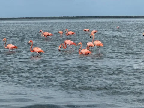 Fishing in Islamorada, Florida