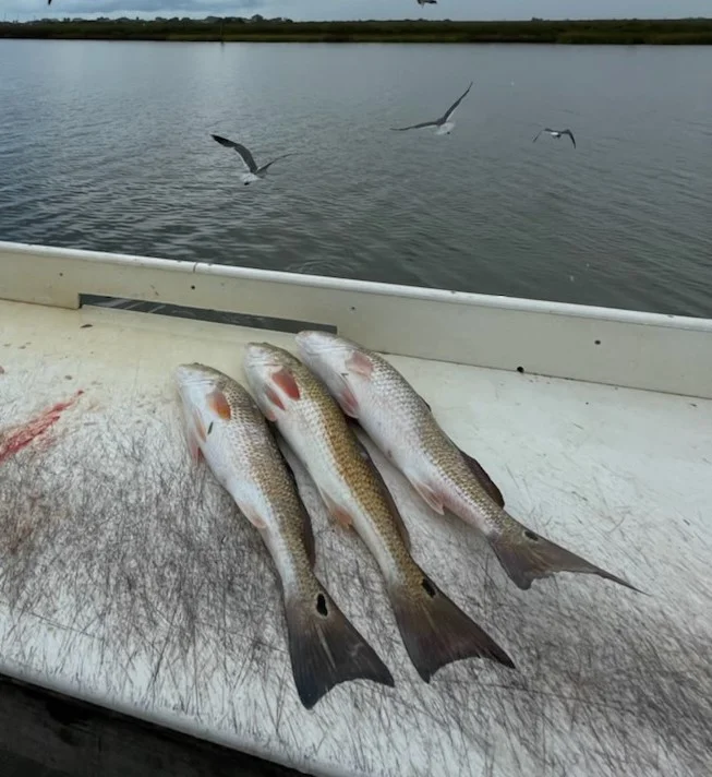 Redfish fishing in Freeport, Texas