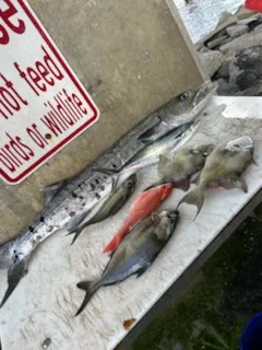 Fishing in Port Orange, Florida