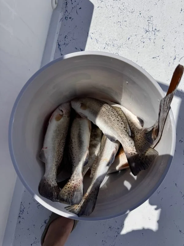 Fishing in Weslaco, Texas