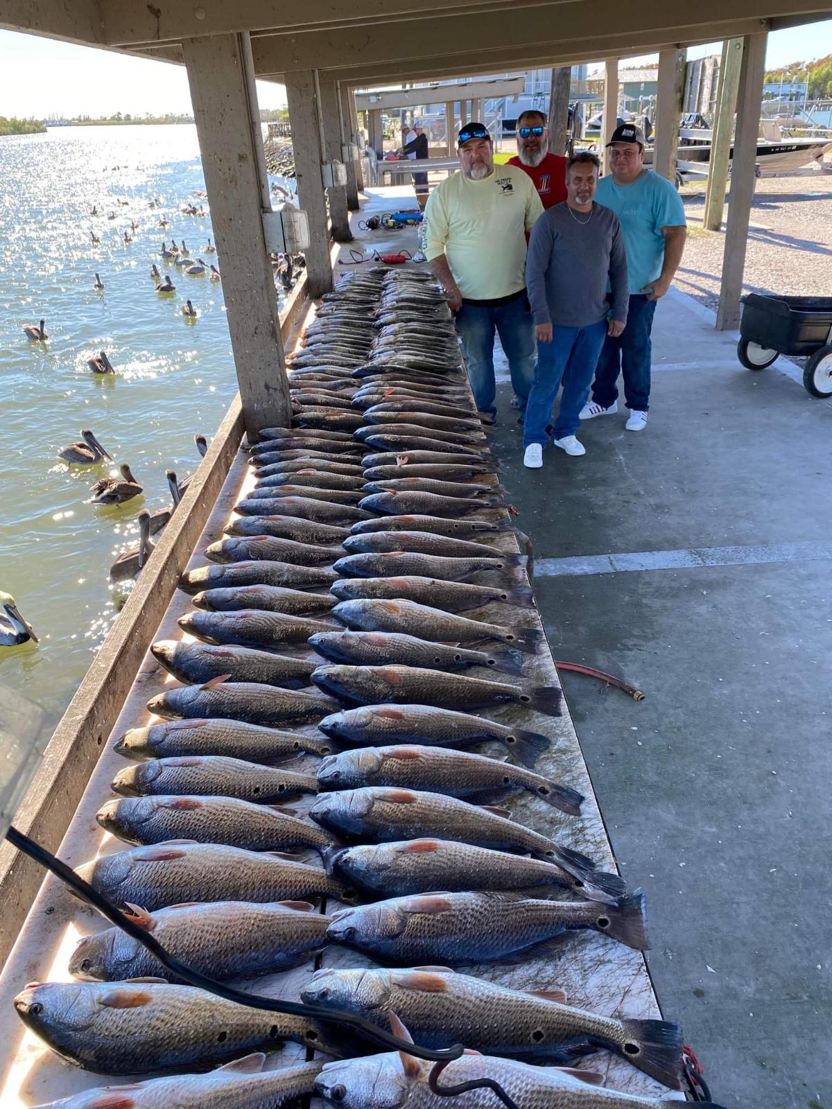 Speckled Trout / Spotted Seatrout Fishing in Venice, Louisiana